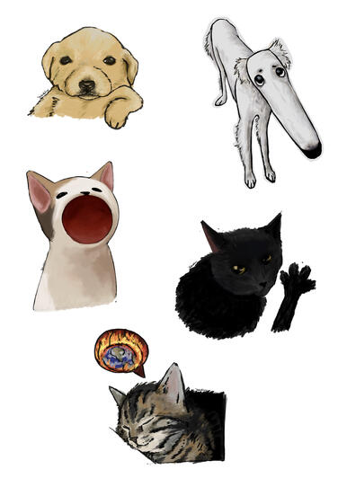 pet meme stickers